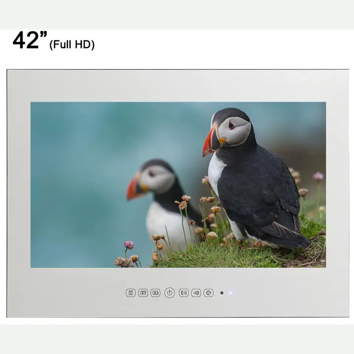 42" Frameless Waterproof Mirror TV