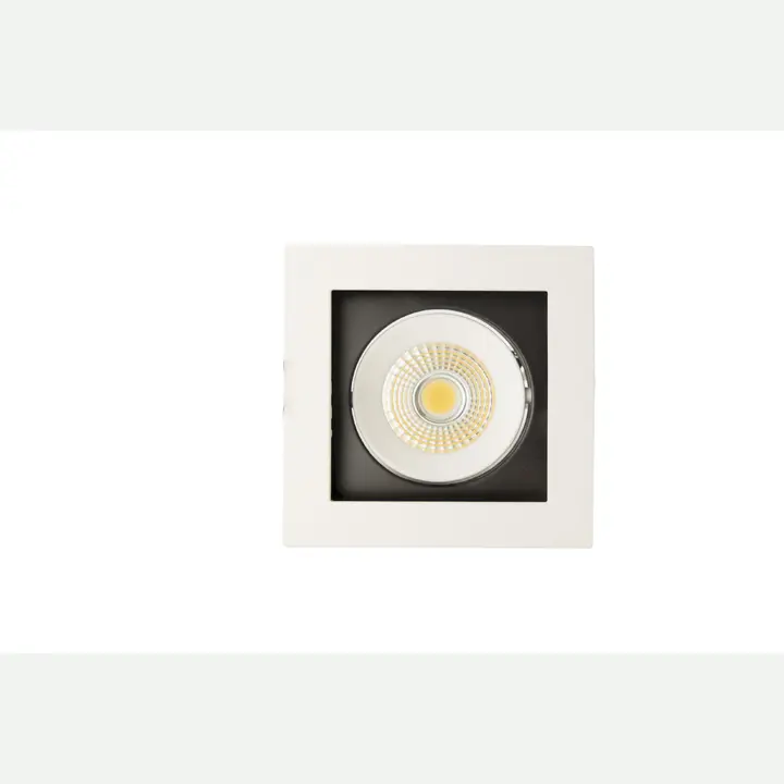 Led Directed Light, COB 8W 6000K, single